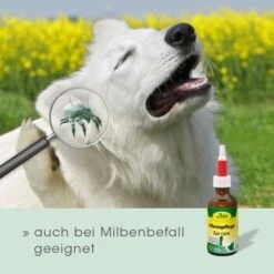 CdVet Ohrenpflege 20ml -Hundebedarf Geschäft 2386a46bf75eb25a2a58bb81c9cd714b7c11735b 1033310 de DE 913b3fb28cb4c7cbb549b216ae11f3b04ff5ee25egJatt