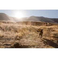 Ruffwear Hover Craft™ Spielzeug Orange 14 Ruffwear Hover Craft™ Spielzeug Orange -Hundebedarf Geschäft 23f3ce0fb188e4f5a253007adc90481d6747961b 1364297 de DE e44fe3627eb338195cfdd7c589598a8edb05def2xpzXS1