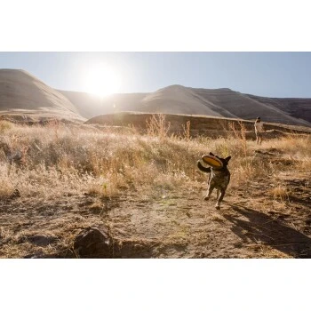 Ruffwear Hover Craft™ Spielzeug Orange 6 Ruffwear Hover Craft™ Spielzeug Orange – Bild 6