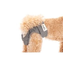 Lills Läufigkeitshöschen "Lou" Pink Berry Grau XXL -Hundebedarf Geschäft 2510182477e0473189522ab4c4eec9318a5ab186 1662393 de DE e81483ca839e45ba2b9fb54d71ddd02dbfa55b06LbZw0y