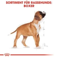 ROYAL CANIN Boxer Puppy 12 Kg -Hundebedarf Geschäft 26b8108fe7f848d5514f54a6ebebe445e9749634 bc544cb1464daff2fcccab10e7c9f1ae73a4f2d1