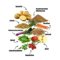 Eat Small EatSmall 10kg Mini Balance Trockenfutter -Hundebedarf Geschäft 2710942cdef62451695f011f9f413ecc469d6d20 1450724 de DE 6283572904307389a0bc941157f085e96ce5449bOItVGO