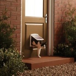 PetSafe 2-Wege Haustiertür Weiß M 8 PetSafe 2-Wege Haustiertür Weiß M -Hundebedarf Geschäft 284b6c0e2d4af407fa066a9ade6919cad93b0996 438829924df9312a221b9e8e0948d50819e6167c