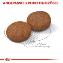 ROYAL CANIN Medium Adult 7+ 15 Kg -Hundebedarf Geschäft 287acfd0f9a5d960adefc0d31985c0030a54ad32 fba25e4adcc0f30cdea8227f66b5905a08faaddf