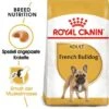 ROYAL CANIN Französische Bulldogge Adult 9 Kg