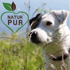 Fit-Crock Classic Lamm Mini -Hundebedarf Geschäft 294d1cda825d170943465cbb0a88ea0e74afc0d0 1687100 de DE 5576b019e140574c03da26f1354a1c04162c365aPCJVe0