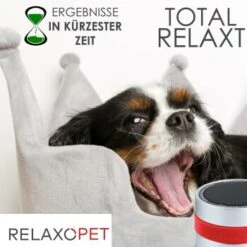 RelaxoPet PRO Entspannungs-Trainer HUND -Hundebedarf Geschäft 2a2890af55504b316fb288b48c33f73cd8cd6818 1315705 de DE 86a89a3dec2d79cadfd859276b25e24b347ce6a68JwiKQ