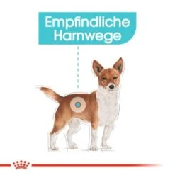 ROYAL CANIN Urinary Care Mini 3 Kg -Hundebedarf Geschäft 2b44c24a913a750238f161371c80dc068835fe75 18b243f946f2c3e1c0215e2708a05a201934c56b