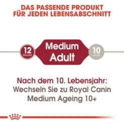 ROYAL CANIN MEDIUM Adult 10x140g -Hundebedarf Geschäft 2bc51ee6ce6ca6764ae5b934f9ec27fdf3d98c24 9003579008362 2