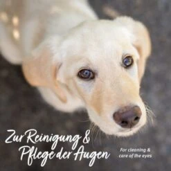 Aniforte Augen-Reinigungspads Augenpflege Pads 100 Stück 7 Aniforte Augen-Reinigungspads Augenpflege Pads 100 Stück -Hundebedarf Geschäft 2c46fac98c3da53602d760eddfc241859ea4e8e7 1429270 de DE e9d49bc0e437e6a7fd896cb338fb281d9167a5480BuaSS