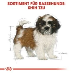 ROYAL CANIN Shih Tzu Puppy 1,5kg -Hundebedarf Geschäft 2dd674b0c9faf144189925427954057c94e96824 cfea993775d63322f217c5a694273fde764bdafe