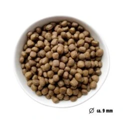 Eat Small EatSmall 3x2kg Trockenfutter Balance Mini -Hundebedarf Geschäft 2eb788cb18e36012b786ebcd36986af0d7384a67 1480035 de DE ef1a1257b12edf1ce0a516e027bab83024c70dae3oyC8T