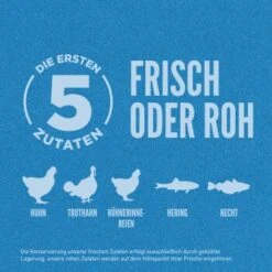 Orijen Original Adult 6 Kg 17 Orijen Original Adult 6 Kg -Hundebedarf Geschäft 2ed149db95d78138143ad913bc4e32ecb93137a9 1261024 de DE ORI Original Dog Carousel 2000x2000 DE 1