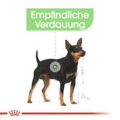 ROYAL CANIN Digestive Care Mini 8 Kg -Hundebedarf Geschäft 2f44f806b768c0d4181b42955c2678d2b1c910f5 6f99c8b5c64093b4e59b1ecd7ada5ca40e016ce2