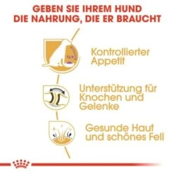 ROYAL CANIN Labrador Adult Sterilisiert 12 Kg -Hundebedarf Geschäft 318ba0ef082f19d7f189daa60ce58b5b82da72b0 0f8c00585e5d0a1ec6125a08e6f6194a30028a03