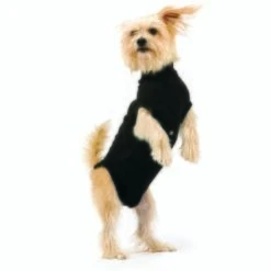 Trovet Hundebody Recovery Suit Schwarz XXS 5 Trovet Hundebody Recovery Suit Schwarz XXS -Hundebedarf Geschäft 32b188fe2b1d79c98c3d705ed0768a2dea55c852 c9c58232ac385af15a91fd1318f8583c048209d5
