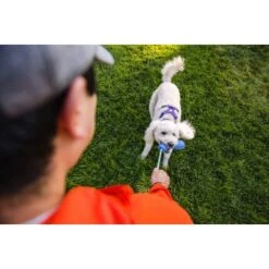 Ruffwear Gourdo™ Spielzeug S Grün 9 Ruffwear Gourdo™ Spielzeug S Grün -Hundebedarf Geschäft 340d5a3cda4bb7c7215d03f2d69aea1fb532027d 1639795 de DE dcb292407c796db89093f35e704145b6700aa2deFjWC0G