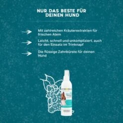 MediDog Dental Fresh & Clean 7 MediDog Dental Fresh & Clean -Hundebedarf Geschäft 343cceef613c074ed5b447a70d31269a870cf15d 1499660 de DE f2641cc7f5b00beb77fbbf61330ce24716292663yYZq7c
