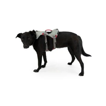 Ruffwear DoubleBack™ Geschirr M 2 Ruffwear DoubleBack™ Geschirr M – Bild 2