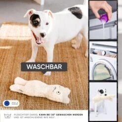 Freudentier Nachhaltiges Hundespielzeug Daniel -Hundebedarf Geschäft 399eb762da5db839e1d54b11a980f1adc24ffa3a 1408970 de DE 4fae29de579b316485a3de702f2c6d8ee3ac7b4f8TlZcj