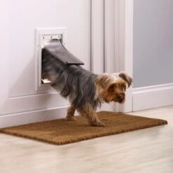 PetSafe Klappe Flexibel Mit Aluminiumrahmen S 6 PetSafe Klappe Flexibel Mit Aluminiumrahmen S -Hundebedarf Geschäft 3a4c2a19720a9a02b32c92c047cc7d6642c51178 c4fcf5d267163feee43df5581a8f62f90db05124