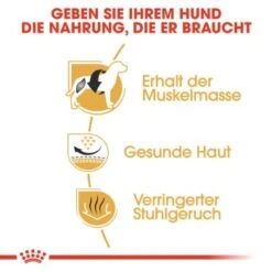 ROYAL CANIN Französische Bulldogge Adult 9 Kg -Hundebedarf Geschäft 3bd4ba1c987a0bad2d63e017fefb9a6a0e04ff1d f46cfcd28b4bf79ae86735da4bc649ba59405c77