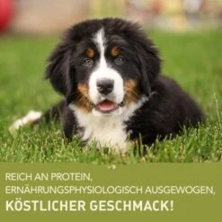 ACANA Puppy Large Breed 11,4kg -Hundebedarf Geschäft 3c2c510ecc9e994aa3b25ef585c782532e177b8d 1236218 de DE Acana Large Breed Puppy Benefit GERMAN 1