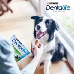 DentaLife PURINA Hunde Zahnpflege-Snacks Großpackung Medium, 84x 9 DentaLife PURINA Hunde Zahnpflege-Snacks Großpackung Medium, 84x -Hundebedarf Geschäft 3d22bf74a99660236ce1548620fac8aa3ac8818f 7dac1d18ca011066644ad899fee9fa3bcb5974f5