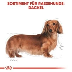 ROYAL CANIN Dachshund Adult Mousse 12x85g -Hundebedarf Geschäft 3e00f9d2a998881197cc4978220ea135ca47c0c1 eeff6dbc0deb1a69304ddefd8bd28703b98639ef