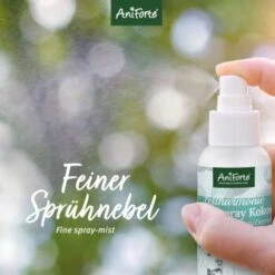Aniforte Pflegespray Kokos Fellharmonie 200 Ml 12 Aniforte Pflegespray Kokos Fellharmonie 200 Ml -Hundebedarf Geschäft 3e1dc7bd1be23f0d63ccf848ed976a4cc3459493 1419045 de DE 1b0a5ad21de98dedcc165a8204340b363ad73228Ao8pTA