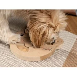 TrendPet Intelligenzspielzeug Intelli -Hundebedarf Geschäft 3eb4d41034c0f3313929136157c4052ccd4ea926 1260161 de DE d146e7e756f1415d035fb0f48553c56a33aee61amIbGAB