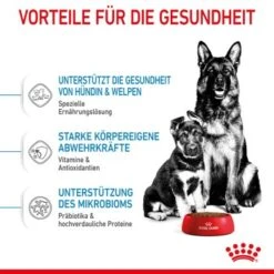ROYAL CANIN MAXI Starter 15kg -Hundebedarf Geschäft 3f492eb193a7d2aa85c8c44a42e2b9f200c7c02c 1044296 de DE royalcaninwb3