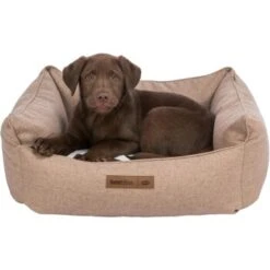 Trixie Bett Farello Braun 50 Cm, 25 Cm, 50 Cm 5 Trixie Bett Farello Braun 50 Cm, 25 Cm, 50 Cm -Hundebedarf Geschäft 4027e63d9476c44d9d7f695714f196e2905cdc30 1383453 de DE 448cc0da43e601f2ae93dd23795f3e23f2e1d335ibC2Wc