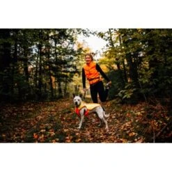 Ruffwear Lumenglow™ High-Vis Hundejacke Orange XL 18 Ruffwear Lumenglow™ High-Vis Hundejacke Orange XL -Hundebedarf Geschäft 40663366cb362acd2f222531a6c489c5dd028940 1378153 de DE 6ea16c8681e07ff1404b1bde8c0b1b4ddb6fa478XOeqLy