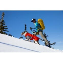 Ruffwear Furness™ Hundejacke Grau S 21 Ruffwear Furness™ Hundejacke Grau S -Hundebedarf Geschäft 4087147dd56ca23b69da19a23095df2e3fcf8a0d 1639614 de DE 93126a293d8b745c831f949261942ce96e13bb7etLLUVR