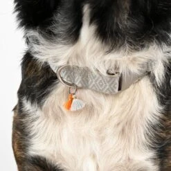THE DOG IDEA Boho-Chic Halsband Ivy L -Hundebedarf Geschäft 408ee4922683c869ff3d5c80037608142ac784fa 1662813 de DE f1cb924f7e4bbede434464b92844c6ba826fe8efNRNdW0