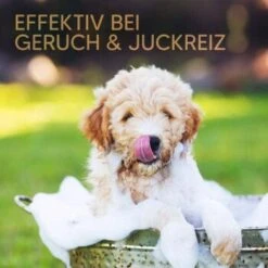 Pawlie's Welpenshampoo 11 Pawlie's Welpenshampoo -Hundebedarf Geschäft 42f9c58257fb2002e5c33c2d81bd829c9adeb1cc 1626204 de DE 8b17d3990cf88ea437c76c60b6848183bc9636a5a44ihJ