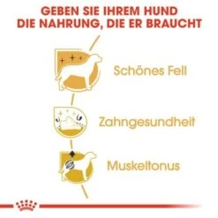 ROYAL CANIN Poodle Adult 7,5 Kg -Hundebedarf Geschäft 4355b892883386eeffdea0883bc90c793459812d bc34c65453008173386e7fdf784644e070da89b9