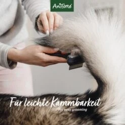 Aniforte Pflegespray Kokos Fellharmonie 200 Ml 14 Aniforte Pflegespray Kokos Fellharmonie 200 Ml -Hundebedarf Geschäft 439a781d2e4112eccb3d9c060e6b47df8bacbc70 1419045 de DE 0e8e4b463cb1cda232cef1a2b76d36ca72baeaa1SxHMNi