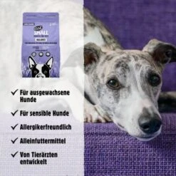 Eat Small - BALANCE (purinarm) 2kg -Hundebedarf Geschäft 45ad3612121a382fc98c2f016e148480e890accd 1397965 de DE 6a39caa418e3cddd9be919b8b1ce9ff1b1b5aa60yLzSjd