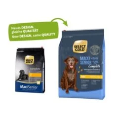 SELECT GOLD Complete Maxi Senior Huhn 4 Kg -Hundebedarf Geschäft 47cae334b89d6d618d45ba2106a580d030a140f6 1001478019 1