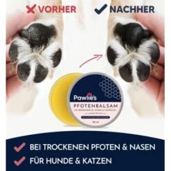 Pawlie's Pawlie’s Pfotenpflege Balsam 50ml -Hundebedarf Geschäft 487602a85241a224bd5e3b3c1fbb40f14bc6953c 1626200 de DE 882e1a5432fb66b865c7a2b3b383aa7e0f2066d82sePnZ