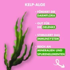 Irish Pure - Lamm, Huhn + Gemüse & Kelp 1,5 Kg -Hundebedarf Geschäft 527ec7baa2a3e80bcac0c1cde535b92d605f38d5 1274251 de DE 88d675ba0abf74bb033298bd2dc7e9ecc2e4cb56ZJYwrx