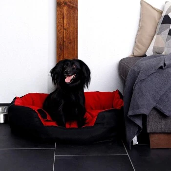 Lionto 4-in-1 Hundebett S 2 Lionto 4-in-1 Hundebett S – Bild 2