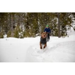 Ruffwear Climate Changer™ Fleece-Pullover Für Hunde Rot S 11 Ruffwear Climate Changer™ Fleece-Pullover Für Hunde Rot S -Hundebedarf Geschäft 535cabacaeabf49aa3494b71adfef12f9eebb3a3 1369661 de DE 7a5c8e78f67f43ebb4ef19e792a83af13c77436dTtVXa2