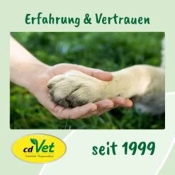 DentaVet Gel 35g -Hundebedarf Geschäft 545e087e057912f1eb130f03a5533927e129f40b 1249039 de DE f215127866d604991b4efc218004018ddf4470952Q2KTf