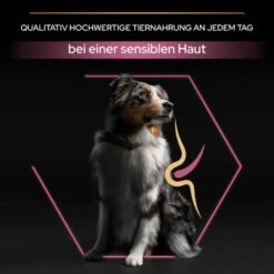 PRO PLAN Optiderma Medium Adult Sensitive Skin 14 Kg -Hundebedarf Geschäft 553403db249db42becb171390833d151dc763305 1206429 5