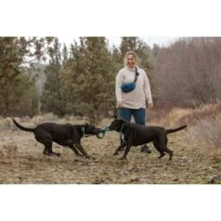 Ruffwear Pacific Ring™ Spielzeug Blau/ Türkis -Hundebedarf Geschäft 55dba30b9a5e3fc77d29bb72e0dc6fad83c40ffc 1444351 de DE 8a3b2d989e7fae2c85eabfcfca3bb7709484f9a3jKDH9l