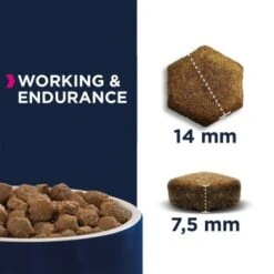 EUKANUBA Premium Working & Endurance Huhn 15kg 8 EUKANUBA Premium Working & Endurance Huhn 15kg -Hundebedarf Geschäft 561bd2ed5b1aa8fde3484e798b30237a67cf0251 265c47980388053b3be61f907504206a685e2e46
