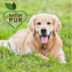 Fit-Crock Classic Lamm Maxi 5 Fit-Crock Classic Lamm Maxi -Hundebedarf Geschäft 572aa89bc910e31893995e44aa05ef340fdfa24c 1687099 de DE f696ec27369198bd4394c88715b6b073e090c44aFcn83B